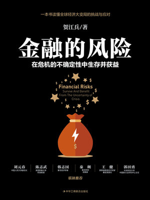 cover image of 金融的风险
